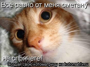 Всё равно от меня сметану не спрячете!... Котоматрица: Всё равно от меня сметану не спрячете!