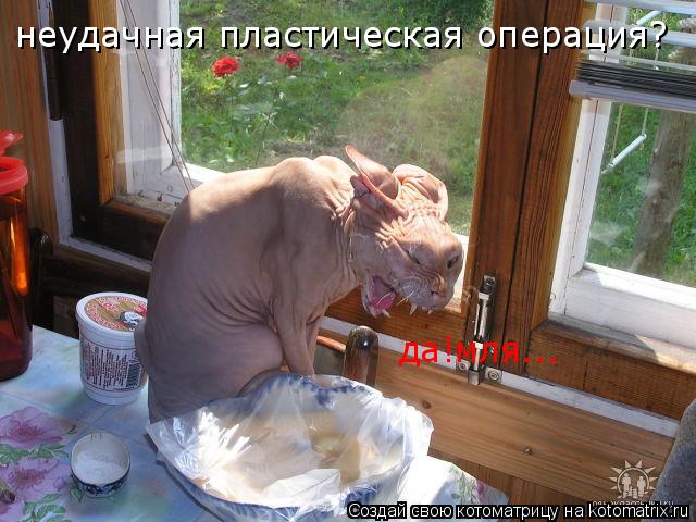 неудачная пластическая операция? да!мля...... Котоматрица: неудачная пластическая операция? да!мля...