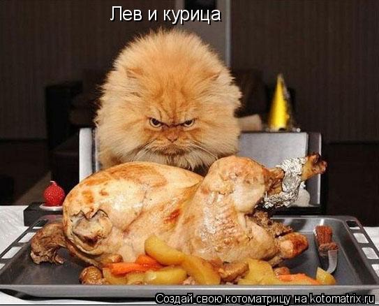 Лев и курица... Котоматрица: Лев и курица
