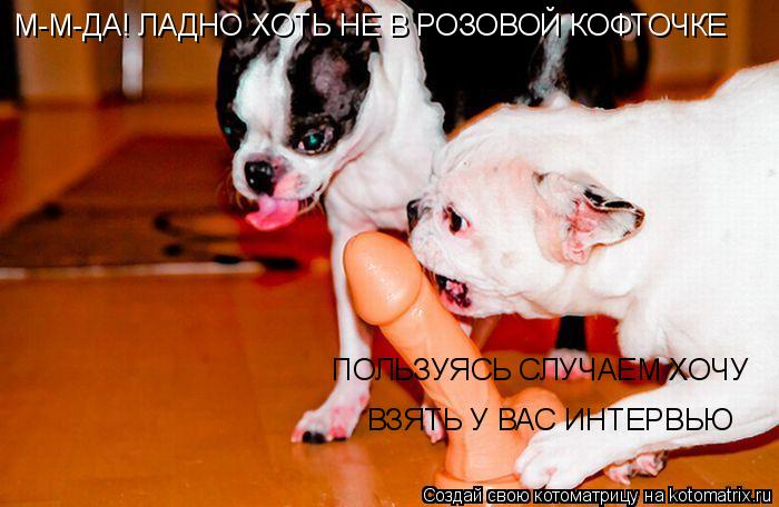 ПОЛЬЗУЯСЬ СЛУЧАЕМ ХОЧУ ВЗЯТЬ У ВАС ИНТЕРВЬЮ М-М-ДА! ЛАДНО ХОТЬ НЕ В РОЗОВОЙ КОФТОЧКЕ... Котоматрица: ПОЛЬЗУЯСЬ СЛУЧАЕМ ХОЧУ ВЗЯТЬ У ВАС ИНТЕРВЬЮ М-М-ДА! ЛАДНО ХОТЬ НЕ В РОЗОВОЙ КОФТОЧКЕ