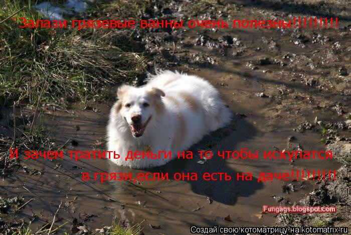 Залази грязевые ванны очень полезны!!!!!!!!! И зачем тратить деньги на то чтобы искупатся в грязи,есл... Котоматрица: Залази грязевые ванны очень полезны!!!!!!!!! И зачем тратить деньги на то чтобы искупатся в грязи,если она есть на даче!!!!!!!!!