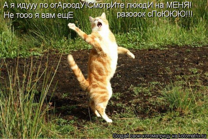 А я идууу по огАроодУ!СмотрИте лююдИ на МЕНЯ! Не тооо я вам ещЕ разооок сПоЮЮЮ!!!... Котоматрица: А я идууу по огАроодУ!СмотрИте лююдИ на МЕНЯ! Не тооо я вам ещЕ разооок сПоЮЮЮ!!!