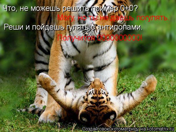 Что, не можешь решить пример 0+0? Могу, но ты не даёшь погулять. Реши и пойдешь гулять с антилопами. ... Котоматрица: Что, не можешь решить пример 0+0? Могу, но ты не даёшь погулять. Реши и пойдешь гулять с антилопами. Получится 0000000000!