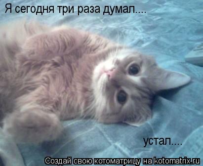 Я сегодня три раза думал.... устал....... Котоматрица: Я сегодня три раза думал.... устал....