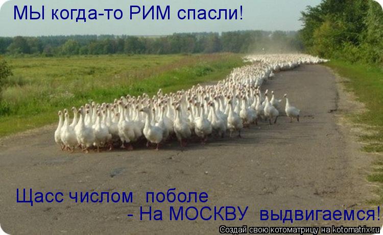 Котоматрица: МЫ когда-то РИМ спасли!  - На МОСКВУ  выдвигаемся! Щасс числом  поболе