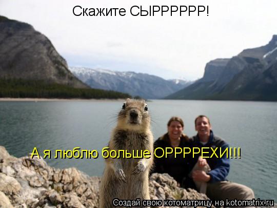 Котоматрица: Скажите СЫРРРРРР! А я люблю больше ОРРРРЕХИ!!!
