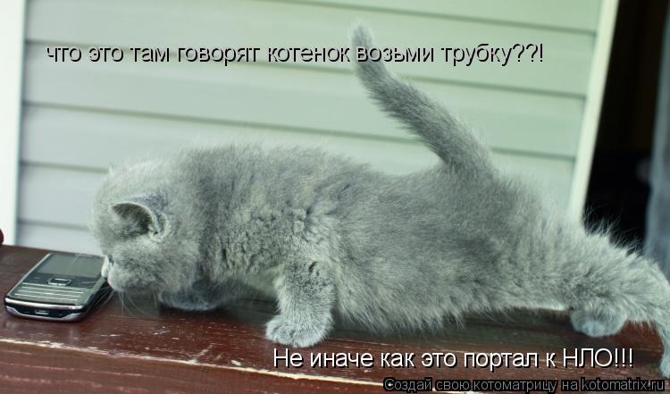 что это там говорят котенок возьми трубку??! Не иначе как это портал к НЛО!!!... Котоматрица: что это там говорят котенок возьми трубку??! Не иначе как это портал к НЛО!!!