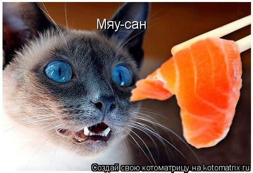 Мяу-сан... Котоматрица: Мяу-сан