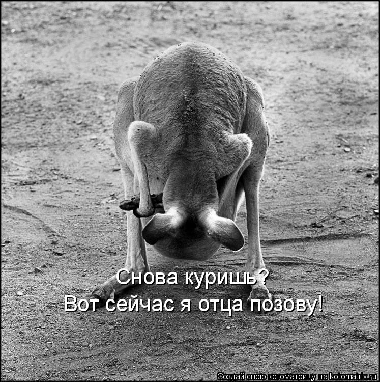 Котоматрица: Снова куришь? Вот сейчас я отца позову!