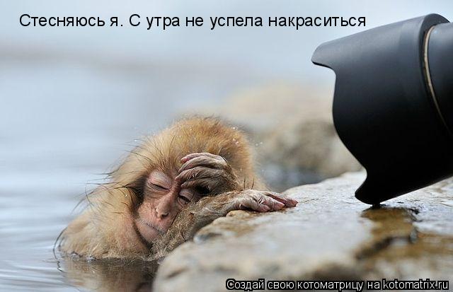 Стесняюсь я. С утра не успела накраситься... Котоматрица: Стесняюсь я. С утра не успела накраситься