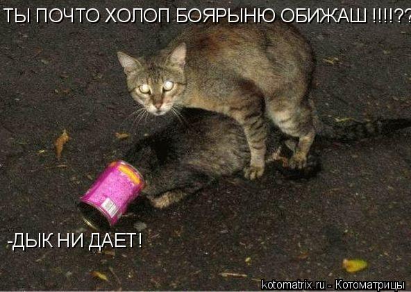 ТЫ ПОЧТО ХОЛОП БОЯРЫНЮ ОБИЖАШ !!!!??? -ДЫК НИ ДАЕТ!... Котоматрица: ТЫ ПОЧТО ХОЛОП БОЯРЫНЮ ОБИЖАШ !!!!??? -ДЫК НИ ДАЕТ!