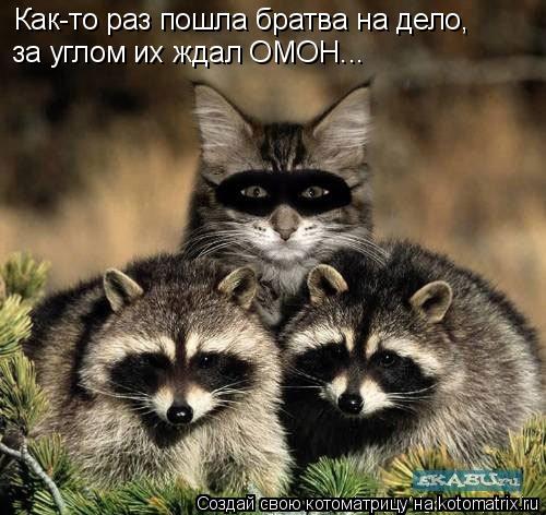 Как-то раз пошла братва на дело, за углом их ждал ОМОН...... Котоматрица: Как-то раз пошла братва на дело, за углом их ждал ОМОН...