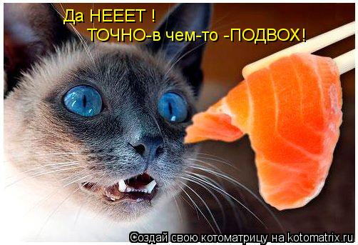 Да НЕЕЕТ ! ТОЧНО-в чем-то -ПОДВОХ!... Котоматрица: Да НЕЕЕТ ! ТОЧНО-в чем-то -ПОДВОХ!