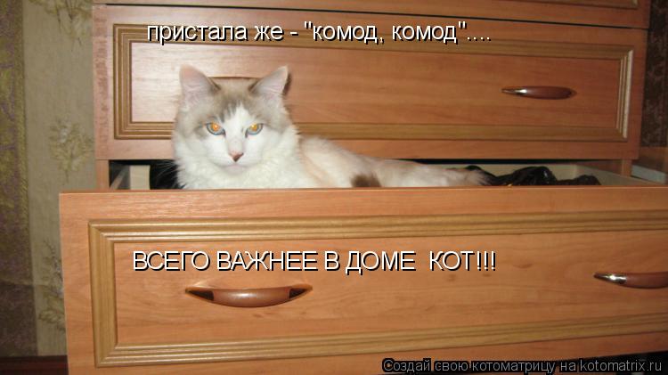 ВСЕГО ВАЖНЕЕ В ДОМЕ КОТ!!! пристала же - "комод, комод"....... Котоматрица: ВСЕГО ВАЖНЕЕ В ДОМЕ КОТ!!! пристала же - "комод, комод"....