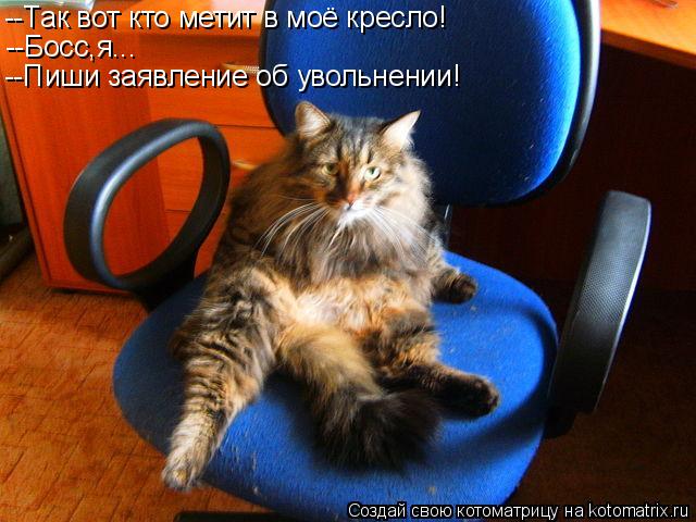 --Так вот кто метит в моё кресло! --Босс,я... --Пиши заявление об увольнении!... Котоматрица: --Так вот кто метит в моё кресло! --Босс,я... --Пиши заявление об увольнении!