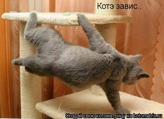 Котэ завис..... Котоматрица: Котэ завис..