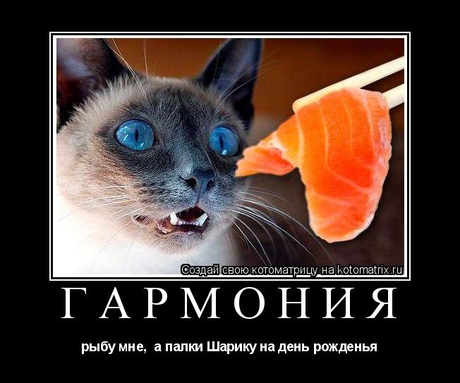 гармония рыбу мне, а палки Шарику на день рожденья... Котоматрица: гармония рыбу мне, а палки Шарику на день рожденья