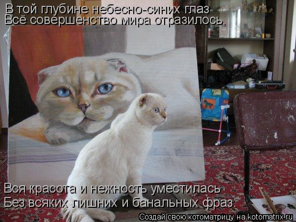 В той глубине небесно-синих глаз Всё совершенство мира отразилось, Без всяких лишних и банальных фраз... Котоматрица: В той глубине небесно-синих глаз Всё совершенство мира отразилось, Без всяких лишних и банальных фраз. Вся красота и нежность уместилась