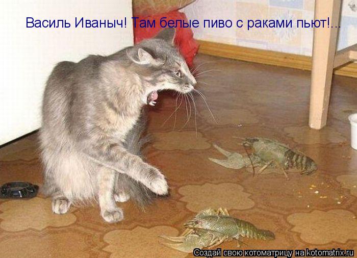 Василь Иваныч! Там белые пиво с раками пьют!...... Котоматрица: Василь Иваныч! Там белые пиво с раками пьют!...