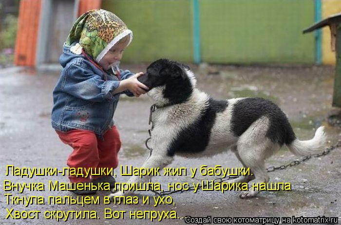 Внучка Машенька пришла, нос у Шарика нашла Ладушки-ладушки, Шарик жил у бабушки. Ткнула пальцем в гла... Котоматрица: Внучка Машенька пришла, нос у Шарика нашла Ладушки-ладушки, Шарик жил у бабушки. Ткнула пальцем в глаз и ухо, Хвост скрутила. Вот непруха...