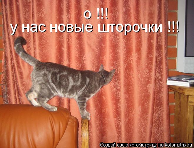 о !!! у нас новые шторочки !!!... Котоматрица: о !!! у нас новые шторочки !!!