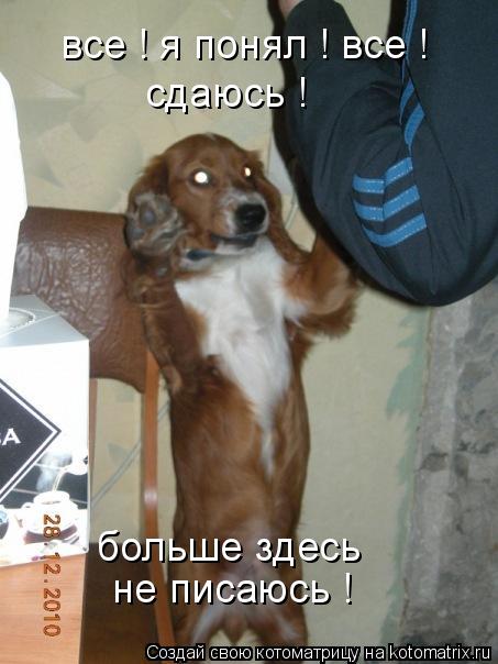 все ! я понял ! все ! сдаюсь ! больше здесь не писаюсь !... Котоматрица: все ! я понял ! все ! сдаюсь ! больше здесь не писаюсь !
