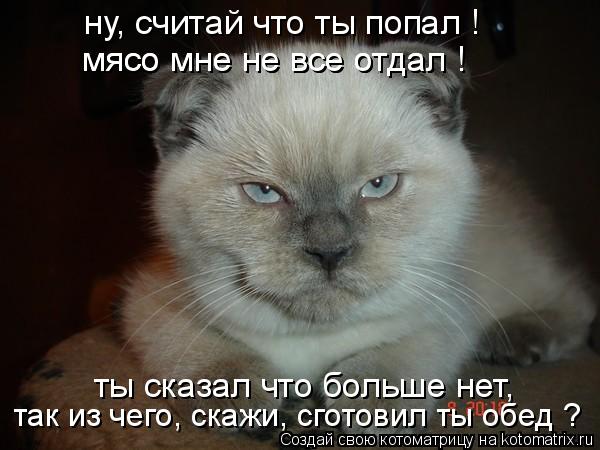 ну, считай что ты попал ! мясо мне не все отдал ! ты сказал что больше нет, мясо мне не все отдал ! т... Котоматрица: ну, считай что ты попал ! мясо мне не все отдал ! ты сказал что больше нет, мясо мне не все отдал ! так из чего, скажи, сготовил ты обед ?