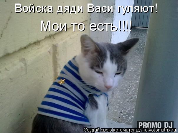 Войска дяди Васи гуляют! Мои то есть!!!!... Котоматрица: Войска дяди Васи гуляют! Мои то есть!!!!