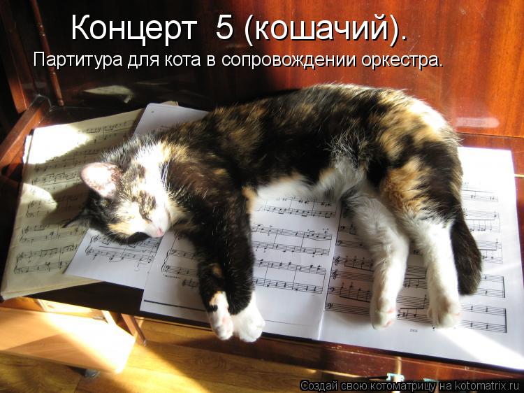 Концерт №5 (кошачий). Партитура для кота в сопровождении оркестра.... Котоматрица: Концерт №5 (кошачий). Партитура для кота в сопровождении оркестра.