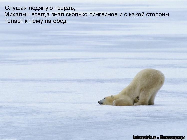 топает к нему на обед Михалыч всегда знал сколько пингвинов и с какой стороны Слушая ледяную твердь,... Котоматрица: топает к нему на обед Михалыч всегда знал сколько пингвинов и с какой стороны Слушая ледяную твердь,