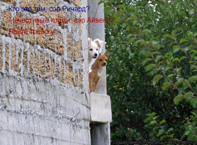 -Кто это там, сэр Ричард? -Нечестивые кошки, сэр Айвенго... Лайте тревогу!... Котоматрица: -Кто это там, сэр Ричард? -Нечестивые кошки, сэр Айвенго... Лайте тревогу!