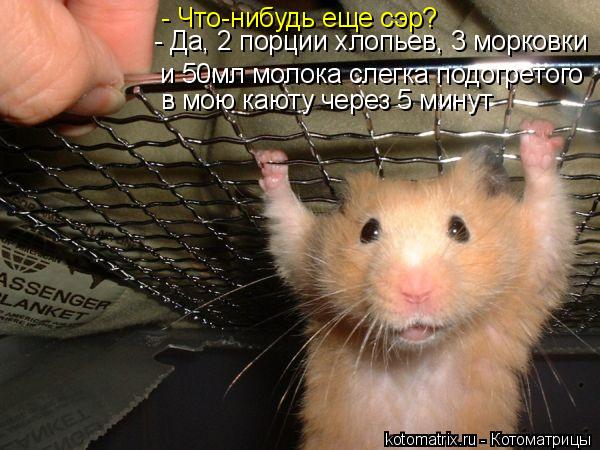 - Что-нибудь еще сэр? - Да, 2 порции хлопьев, 3 морковки и 50мл молока слегка подогретого в мою кают... Котоматрица: - Что-нибудь еще сэр? - Да, 2 порции хлопьев, 3 морковки и 50мл молока слегка подогретого в мою каюту через 5 минут
