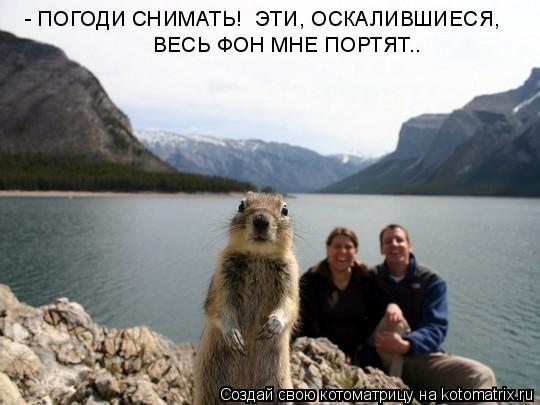 - ПОГОДИ СНИМАТЬ! ЭТИ, ОСКАЛИВШИЕСЯ, ВЕСЬ ФОН МНЕ ПОРТЯТ..... Котоматрица: - ПОГОДИ СНИМАТЬ! ЭТИ, ОСКАЛИВШИЕСЯ, ВЕСЬ ФОН МНЕ ПОРТЯТ..