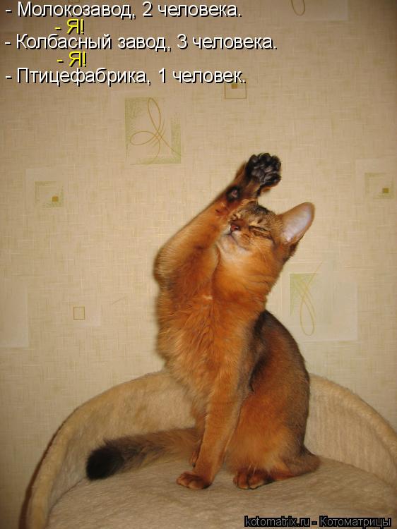 - Молокозавод, 2 человека. - Я! - Колбасный завод, 3 человека. - Я! - Птицефабрика, 1 человек.... Котоматрица: - Молокозавод, 2 человека. - Я! - Колбасный завод, 3 человека. - Я! - Птицефабрика, 1 человек.
