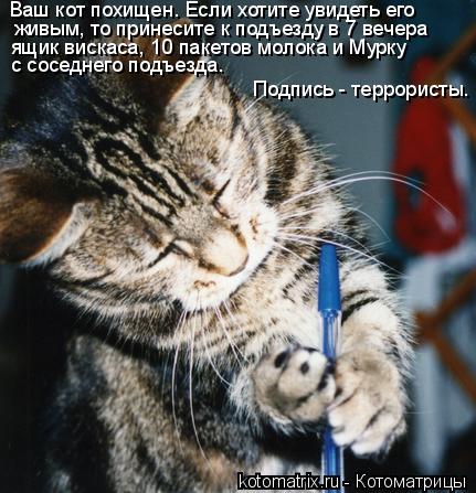 Ваш кот похищен. Если хотите увидеть его живым, то принесите к подъезду в 7 вечера ящик вискаса, 10 ... Котоматрица: Ваш кот похищен. Если хотите увидеть его живым, то принесите к подъезду в 7 вечера ящик вискаса, 10 пакетов молока и Мурку с соседнего подъез