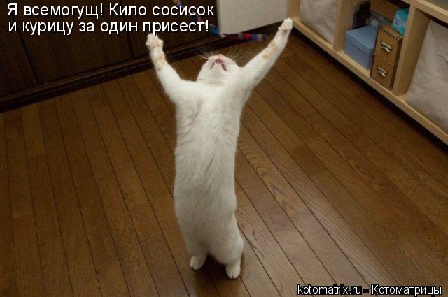 Я всемогущ! Кило сосисок и курицу за один присест!... Котоматрица: Я всемогущ! Кило сосисок и курицу за один присест!