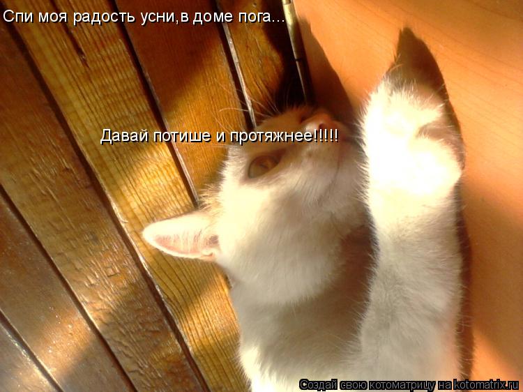 Котоматрица: Спи моя радость усни,в доме пога... Давай потише и протяжнее!!!!!