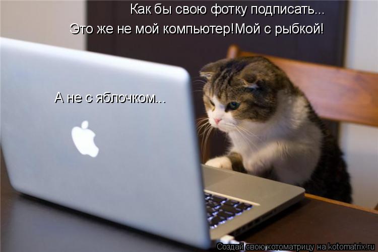 Котоматрица: Как бы свою фотку подписать... Это же не мой компьютер!Мой с рыбкой! А не с яблочком...