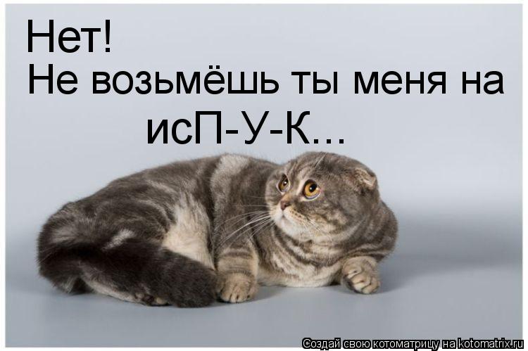 Нет! Не возьмёшь ты меня на исП-У-К...... Котоматрица: Нет! Не возьмёшь ты меня на исП-У-К...