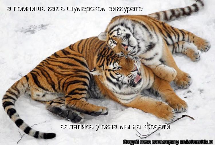 а помнишь как в шумерском зиккурате валялись у окна мы на кровати... Котоматрица: а помнишь как в шумерском зиккурате валялись у окна мы на кровати