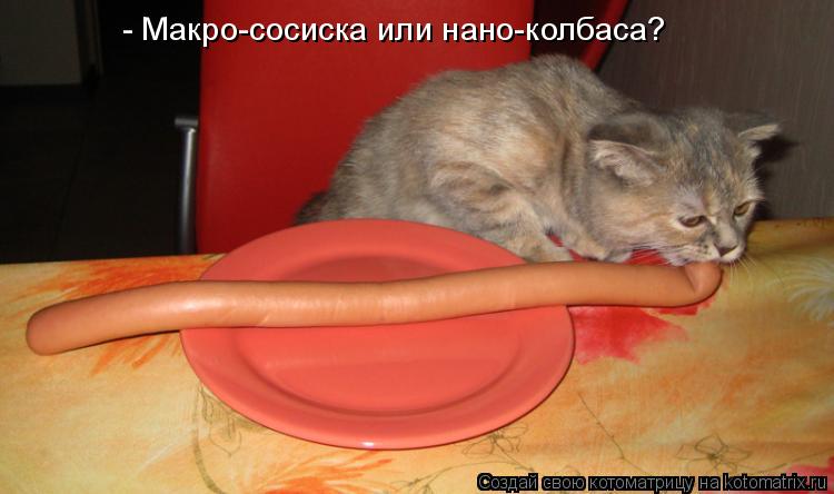 - Макро-сосиска или нано-колбаса?... Котоматрица: - Макро-сосиска или нано-колбаса?