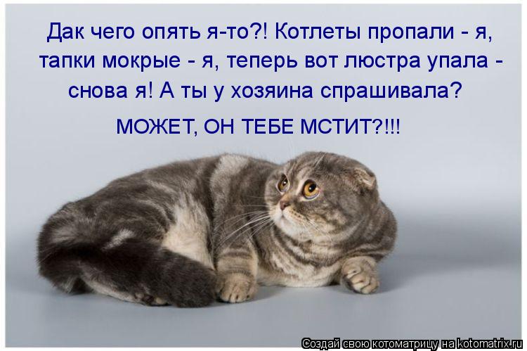 Котоматрица: Дак чего опять я-то?! Котлеты пропали - я,  тапки мокрые - я, теперь вот люстра упала -  снова я! А ты у хозяина спрашивала?  МОЖЕТ, ОН ТЕБЕ МСТИТ?!!!