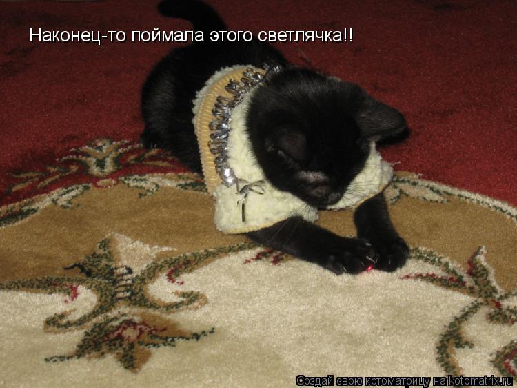 Наконец-то поймала этого светлячка!!... Котоматрица: Наконец-то поймала этого светлячка!!