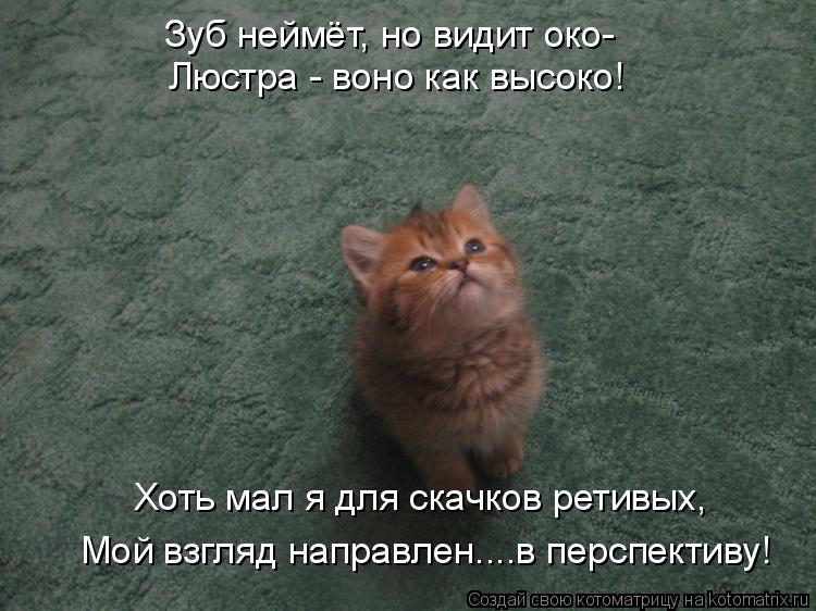 Зуб неймёт, но видит око- Люстра - воно как высоко! Хоть мал я для скачков ретивых, Мой взгляд направ... Котоматрица: Зуб неймёт, но видит око- Люстра - воно как высоко! Хоть мал я для скачков ретивых, Мой взгляд направлен....в перспективу!