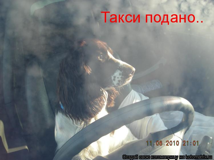 Такси подано..... Котоматрица: Такси подано..