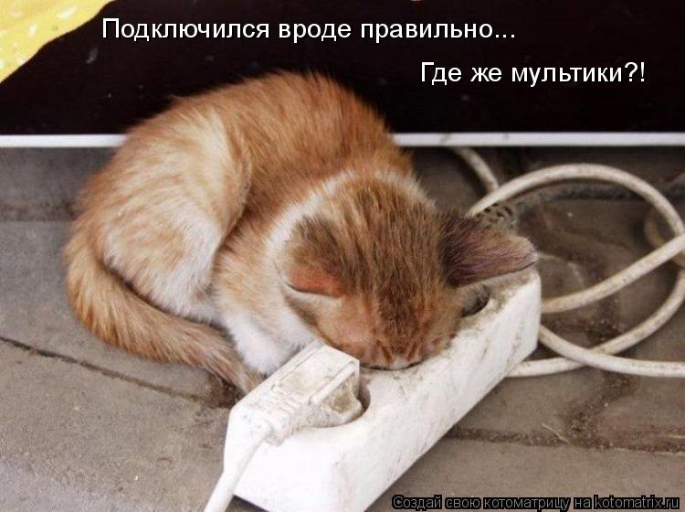 Котоматрица: Подключился вроде правильно...  Где же мультики?!