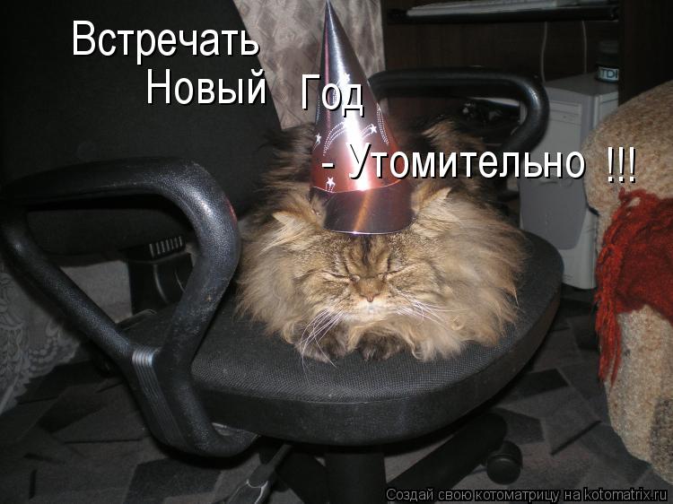Котоматрица: Встречать  Новый   Год  - Утомительно !!!