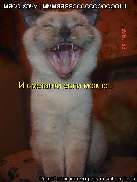 МЯСО ХОЧУ!! МММЯЯЯЯСССССОООООО!!!! И сметанки если можно...... Котоматрица: МЯСО ХОЧУ!! МММЯЯЯЯСССССОООООО!!!! И сметанки если можно...