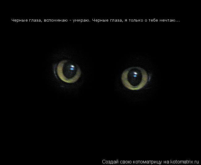 Черные глаза, вспоминаю - умираю. Черные глаза, я только о тебе мечтаю...... Котоматрица: Черные глаза, вспоминаю - умираю. Черные глаза, я только о тебе мечтаю...