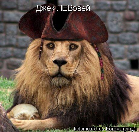 Котоматрица: Джек ЛЕВовей